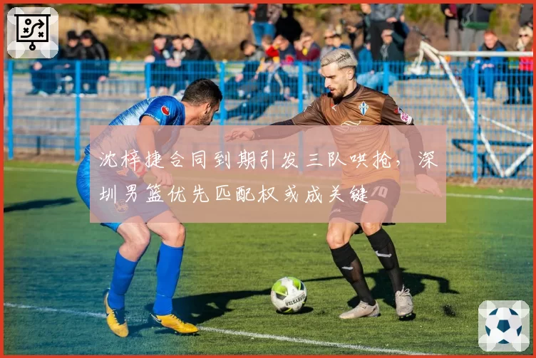 沈梓捷合同到期引发三队哄抢,深圳男篮优先匹配权或成关键