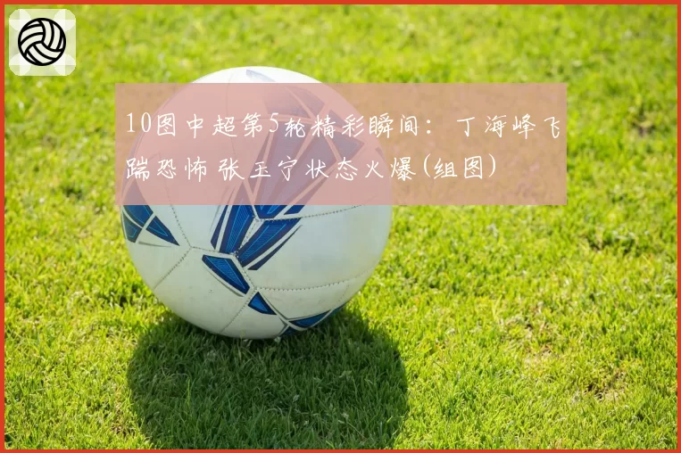 10图中超第5轮精彩瞬间:丁海峰飞踹恐怖 张玉宁状态火爆(组图)