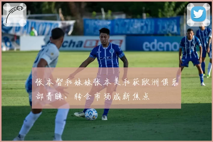 张本智和妹妹张本美和获欧洲俱乐部青睐，转会市场成新焦点
