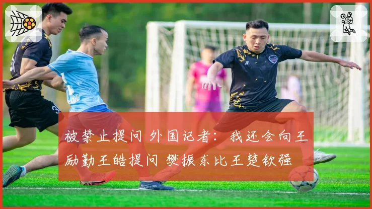 被禁止提问 外国记者：我还会向王励勤王皓提问 樊振东比王楚钦强